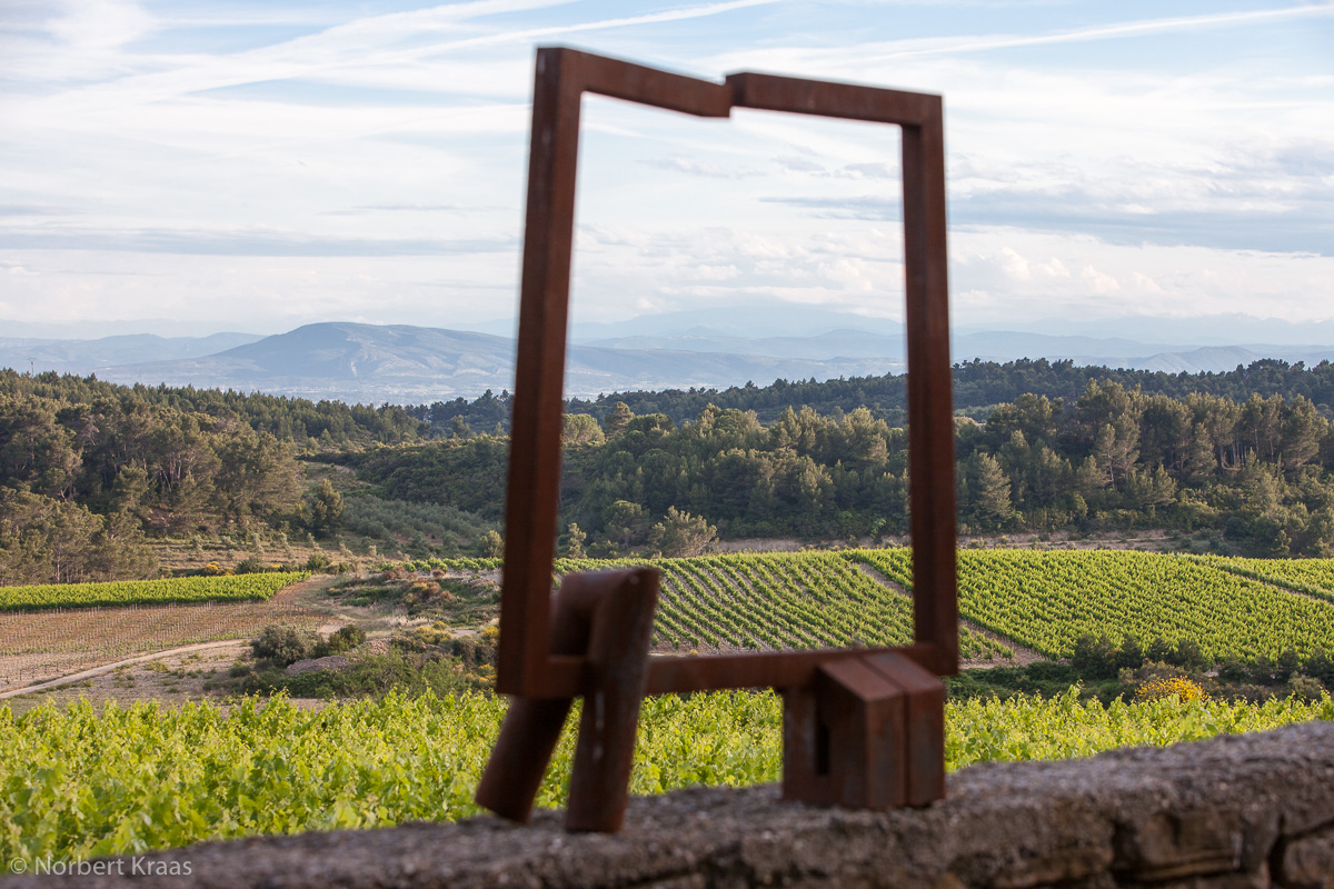 Weinberge im Minervois, Languedoc