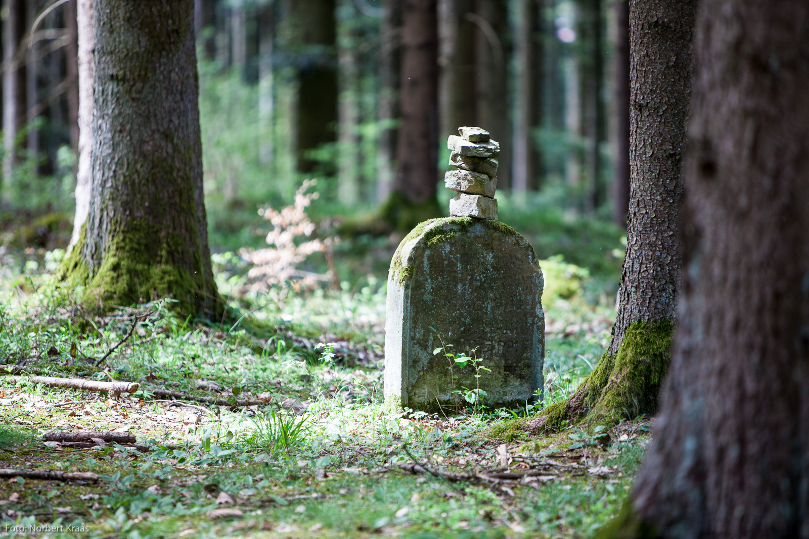 Jüdischer Waldfriedhof Weildorf bei Haigerloch