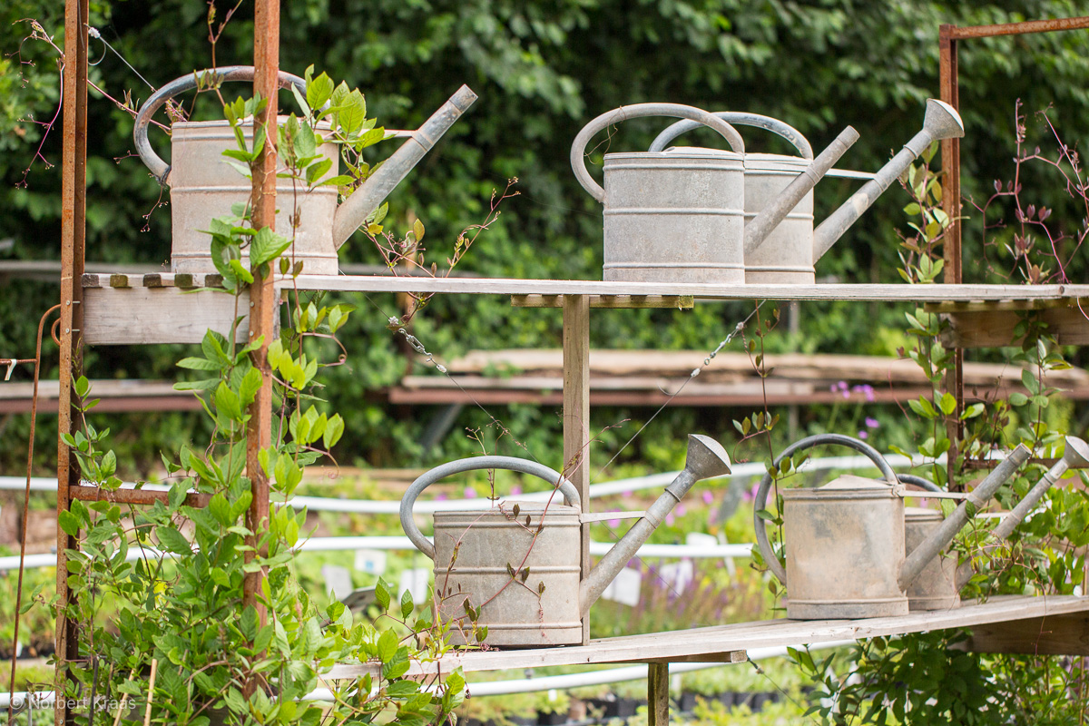Auch die Giesskannen sind bereit fürs Gartenjahr. Wir werden sie brauchen.