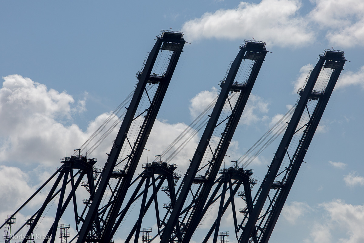 Wie lange wachsen die Ladebäume der Globalisierung noch in den Himmel? Im Hafen von Harwich in Suffolk Wie lange wachsen die Ladebäume der Globalisierung noch in den Himmel? Im Hafen von Harwich in Suffolk