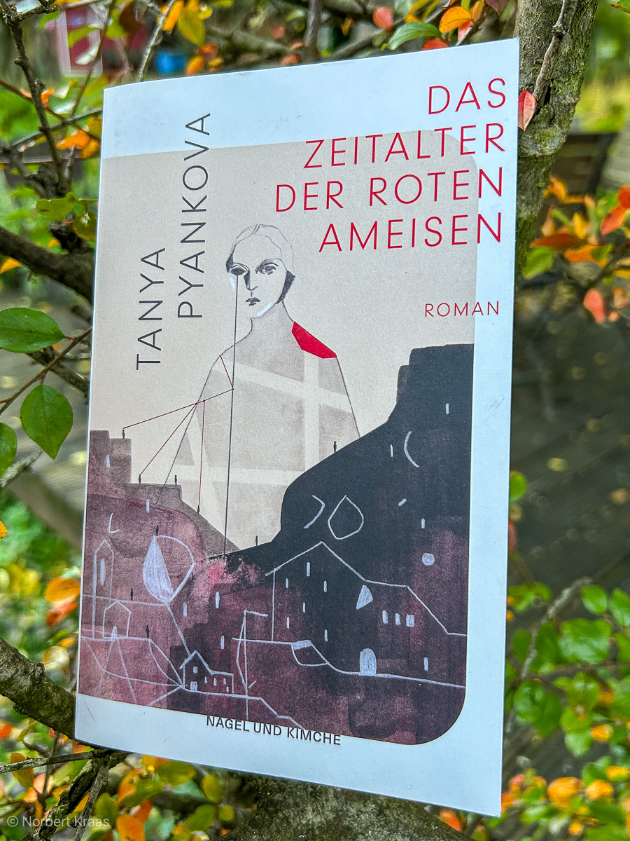 Tanya Pyankova, Das Zeitalter der roten Ameisen. Ein Roman über Hunger, Terror, Schuld, Verwantwortung, Menschlichkeit