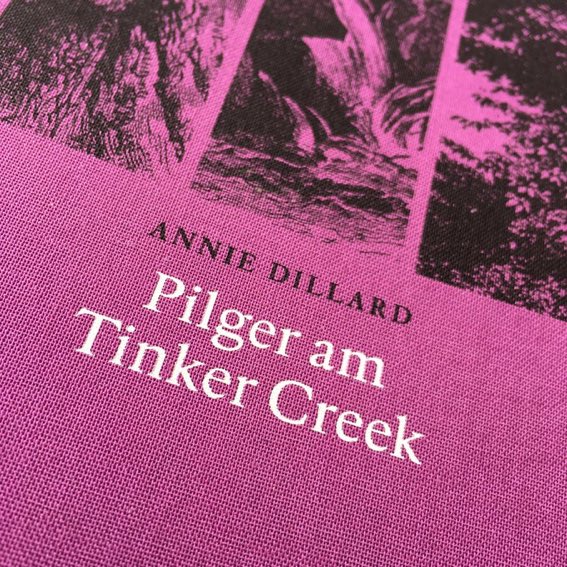 Annie Dillard, Pilger am Tinker Creek
