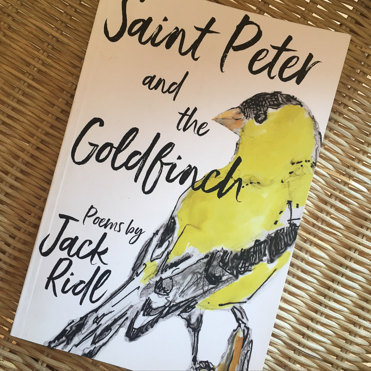 Jack Ridl, Saint Peter and the Goldfinch, Poems, 2019. Published by Wayne State University Press. 