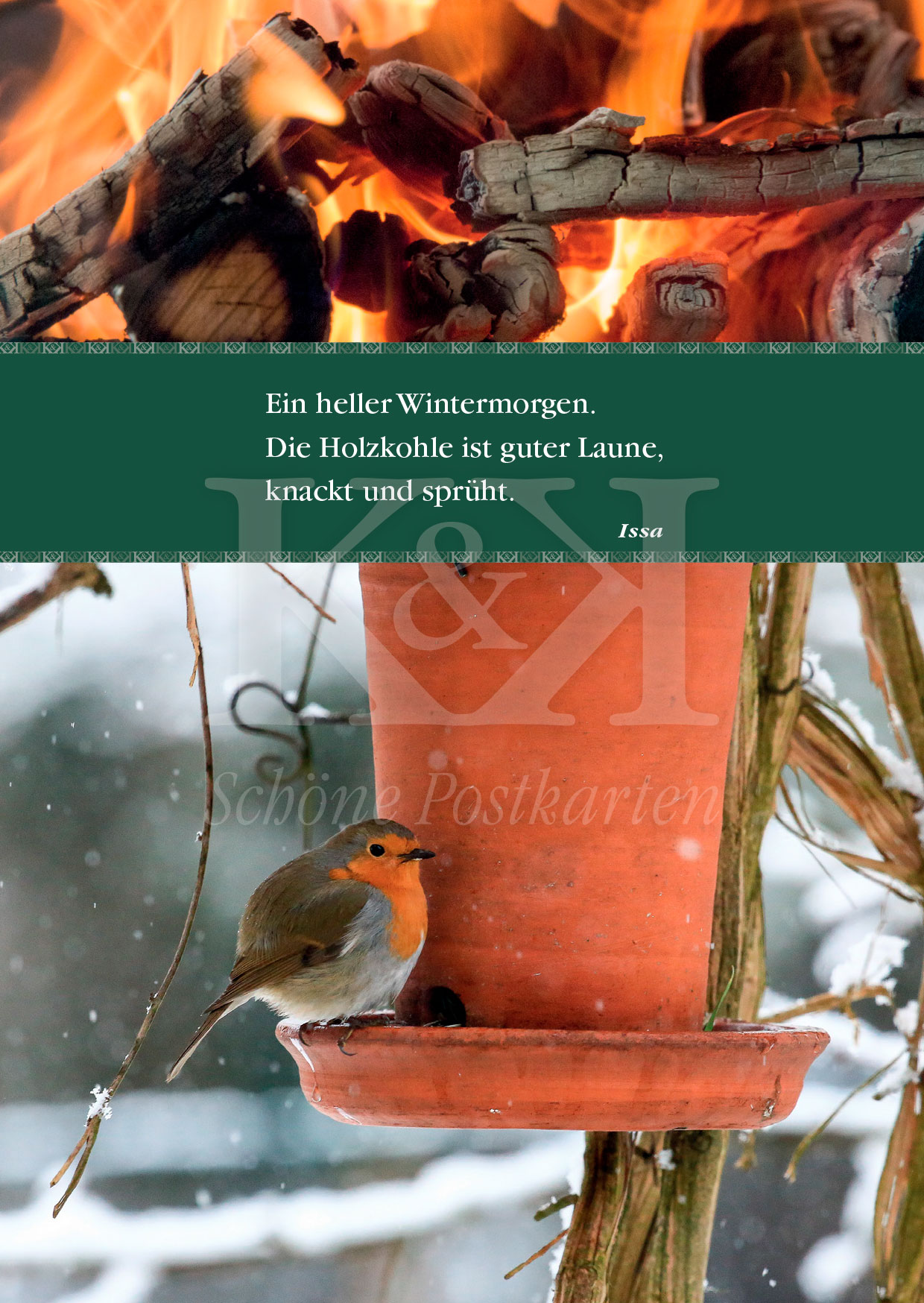 Schöne Postkarte Nr. 122 · Rotkehlchen an einem hellen Wintermorgen