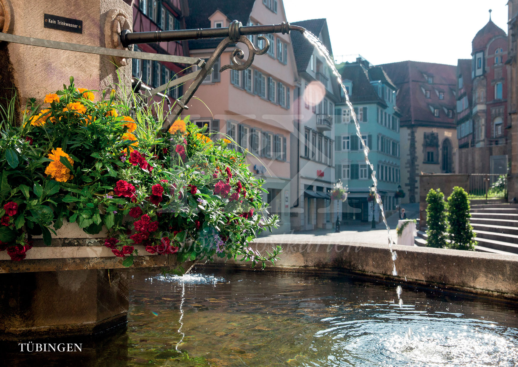 Schöne Postkarte Nr. 91 · Georgsbrunnen am Holzmarkt in Tübingen · © www.schoenepostkarten.de