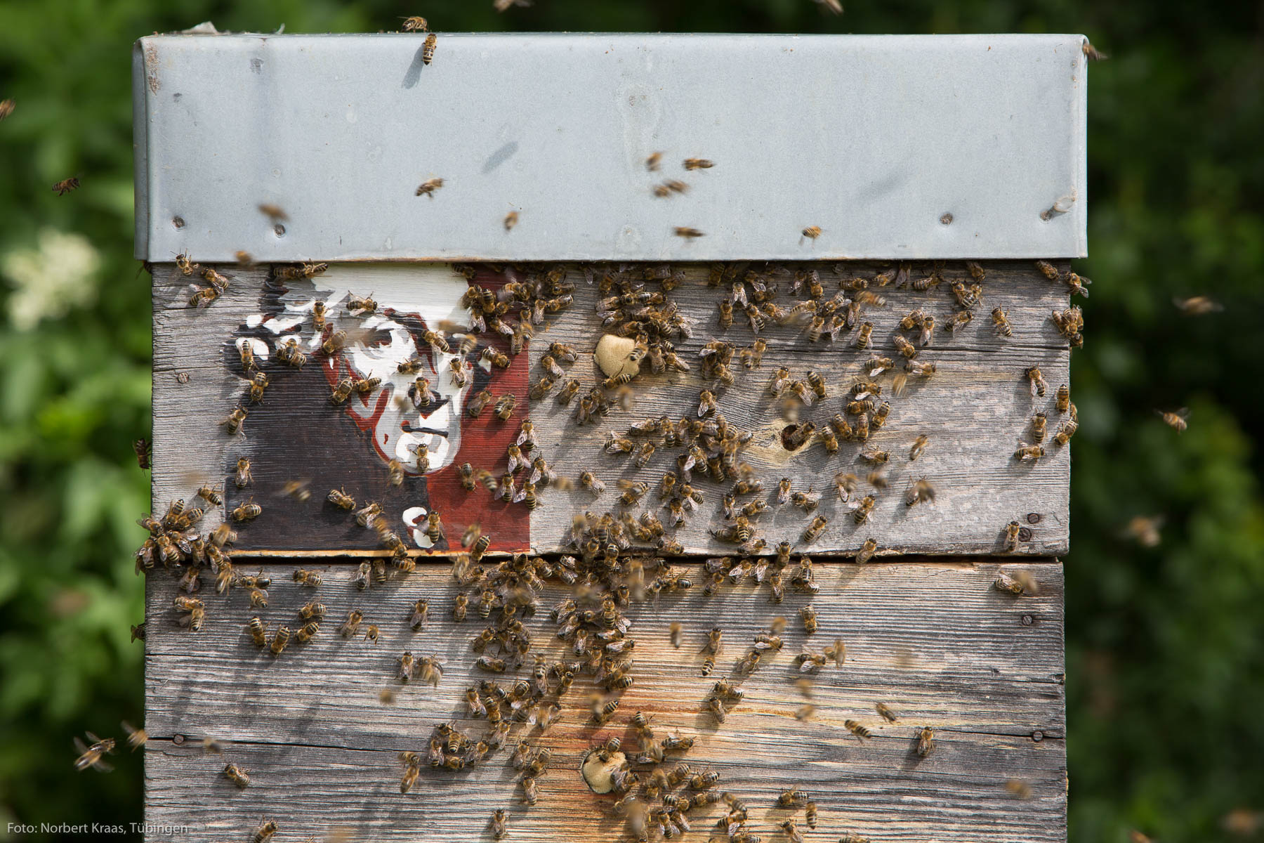 Wo Geist und Bienen zu Hause sind: Bienenkasten von Rickmer Stohp. Foto: Norbert Kraas, Tübingen