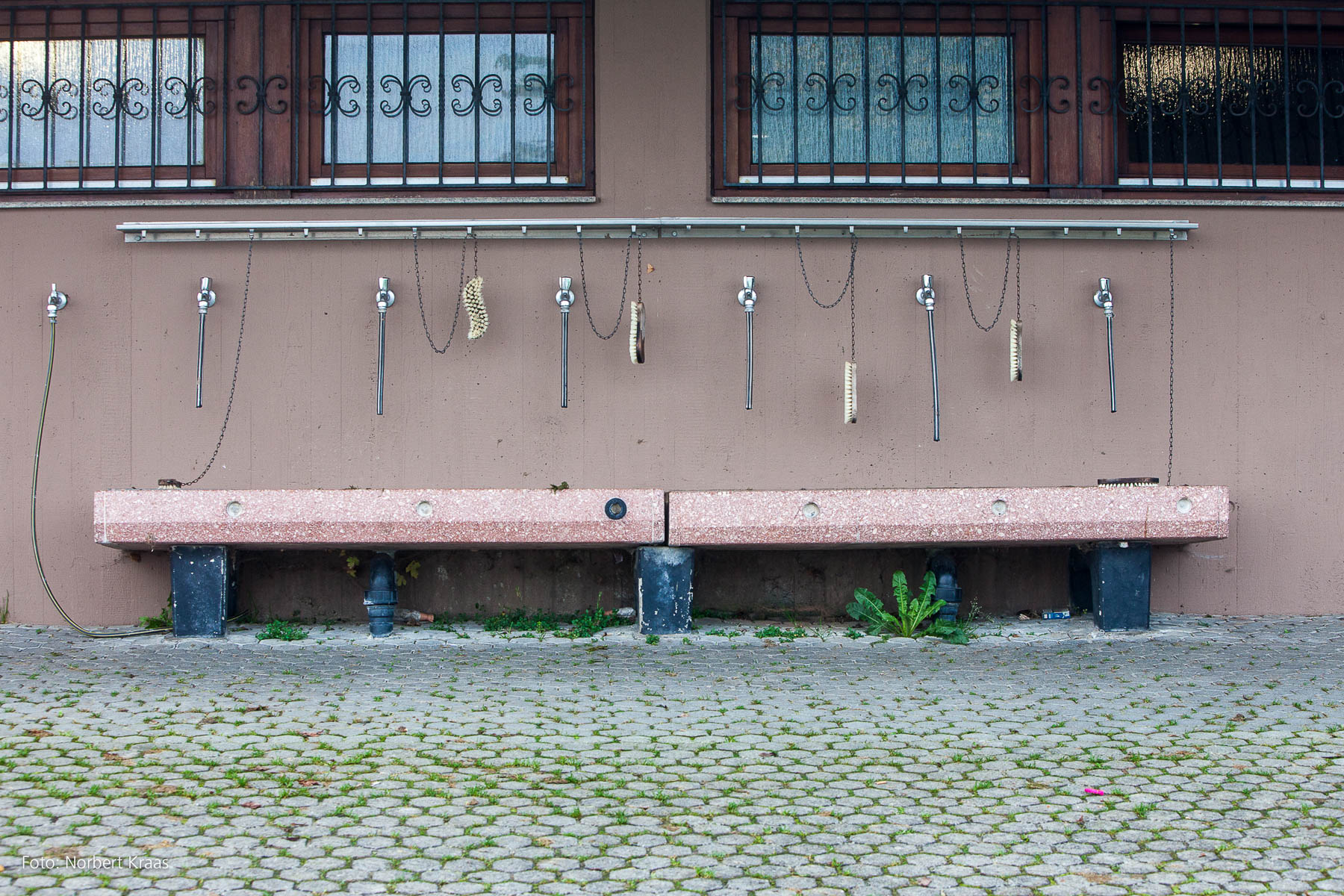 Hoch stehende Vierer-Bürstenkette mit einer Spitze. Foto: Norbert Kraas